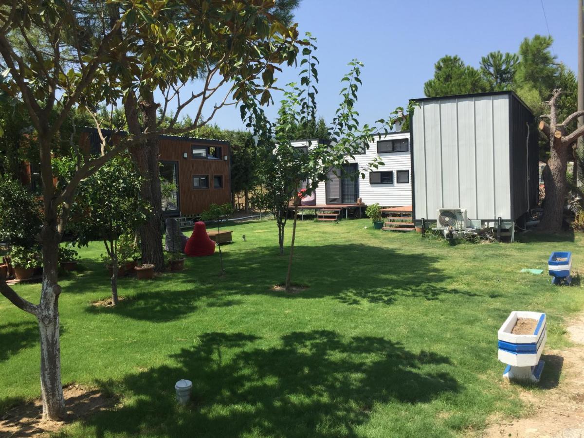 Sakiz Tiny House & Apart Urla Exteriör bild